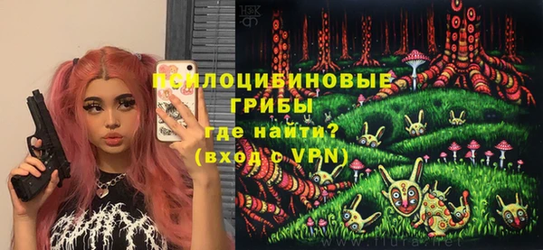 хмурый Алексеевка
