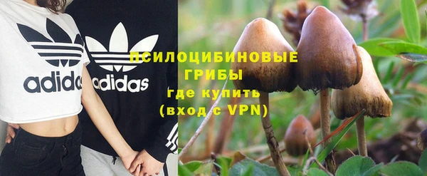 хмурый Алексеевка