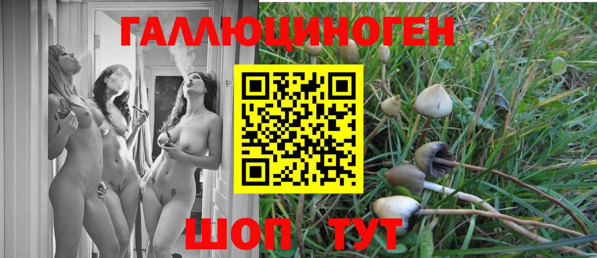 Псилоцибиновые грибы Psilocybine cubensis  где купить наркоту  Вход с VPN  Анжеро-Судженск  Галлюциногенные грибы Psilocybine cubensis 