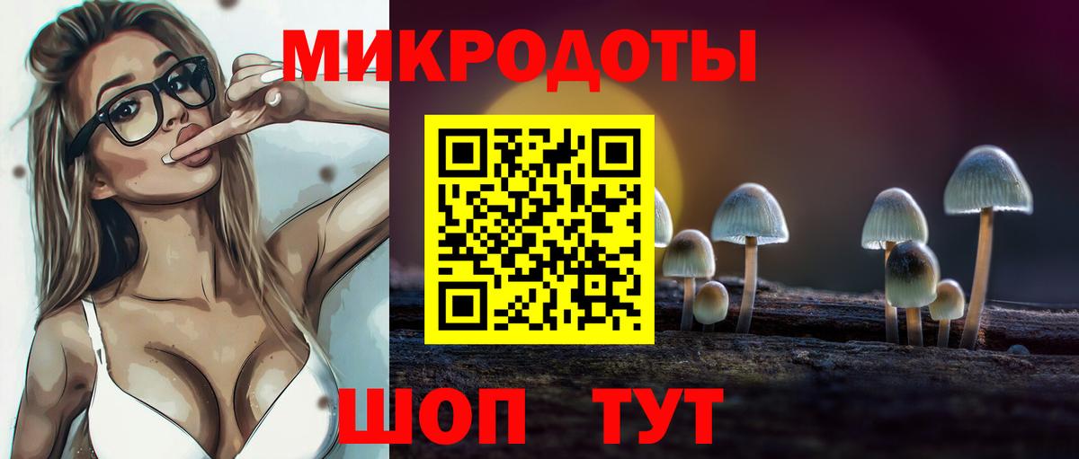 Галлюциногенные грибы Psilocybine cubensis Анжеро-Судженск